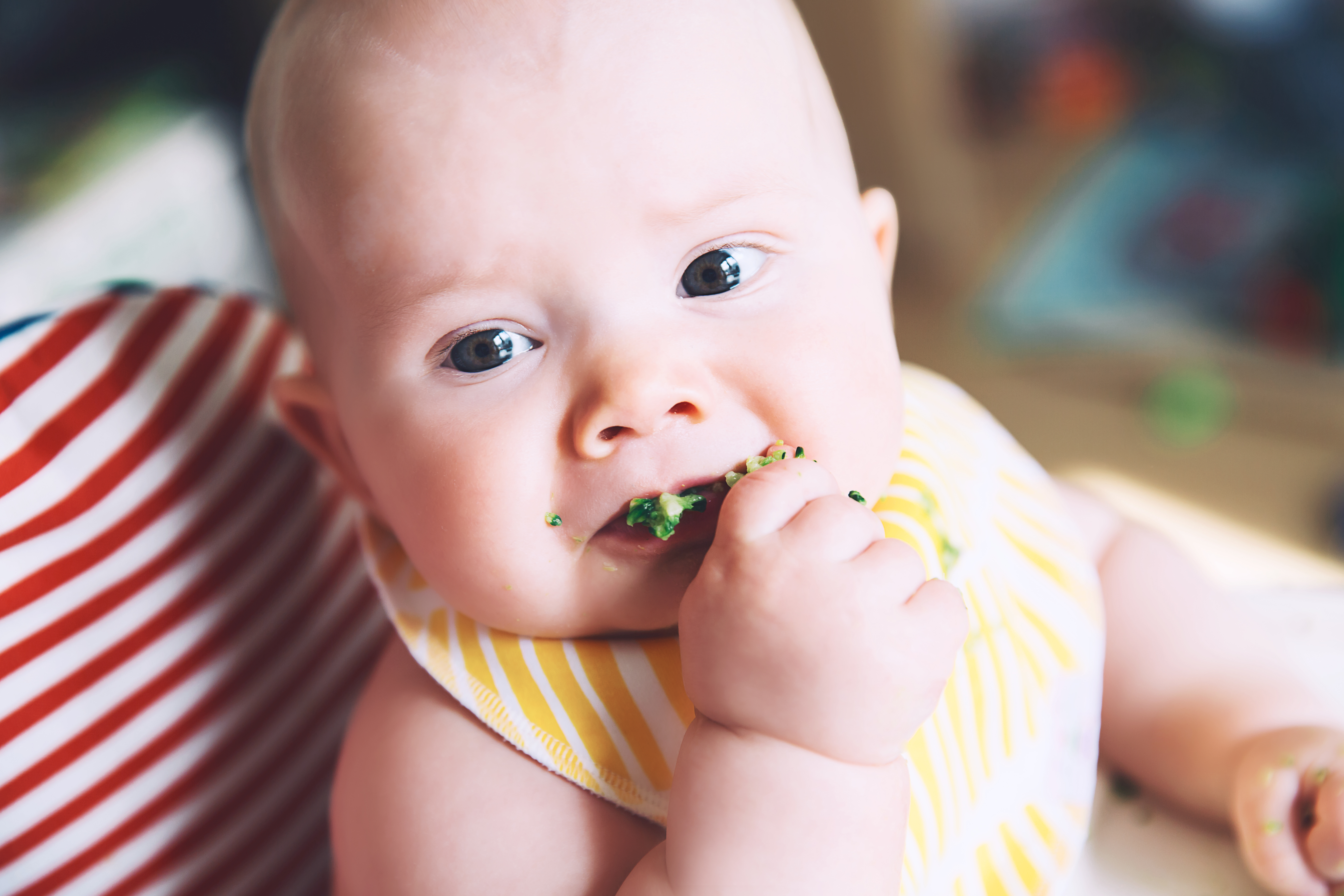 Baby Led Weaning (BLW), el método que permite a los niños comer con las manos